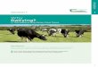 Why Dairying? - Teagasc | Agriculture and Food … does dairy farming compare with other farming enterprises?Ho How does profitability vary between farm size categories? 1 2 4 1 chapter