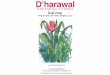 D’harawal€™harawal DREAMING STORIES Kai’mia THE STORY OF THE GYMEA LILY  Frances Bodkin Gawaian Bodkin-Andrews Illustrations By Lorraine Robertson