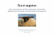 Scrapie - IN.gov from its herd of origin in Missouri to the scrapie experimental station in Mission, Texas . ... PrPC is normally digested and recycled by the cell 