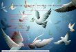 THE SLAVONIC BOOK OF DOVES - Introduction SLAVONIC BOOK OF DOVES Translated from Russian NOTE: Some words could not be translated ... Why is the cathedral church of all the churches,