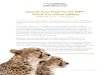 Cheetah Exam Prep for the PMP Virtual Live Course Syllabus · Cheetah Exam Prep® for the PMP® Virtual Live Course Syllabus ... we offer an Online PMP Exam Prep to suit your needs,