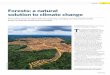 Forests: a natural solution to climate change€¦ · In fact, halting the loss and degradation of natural systems ... Deforestation, forest degradation and land use now account for
