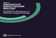 2017 GRANICUS BENCHMARK REPORT · 1 2017 Granicus Benchmark Report: ... marketing tactics in ... Insights for Mapping an Efiective Digital Strategy 7 When using benchmarking data