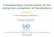 Transboundary Conservation of the mangrove ecosystem … · Transboundary Conservation of the mangrove ecosystem of Sundarbans ... • Winter day temperature 16–20 °C & at night