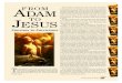 From Adam to Jesus (Timeline) - Answers in Genesis Pillars Decades ... TUBAL-CAIN 7th NAAMAH JUBALOFADAH JABALOFADAH LAMECH 6th JARED 962 yrs ... From Adam to Jesus (Timeline) 