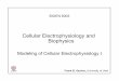 Modeling of Cellular Electrophysiology I - University of Utahcvrti.utah.edu/~fs/lessons/bioeng6003_12/lesson7.pdf · Modeling of Cellular Electrophysiology I. CVRTI BIOEN 6003 