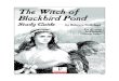 The Witch of Blackbird Pond - Home - Rainbow Resource …€¦ ·  · 2012-05-16The Witch of Blackbird Pond Study Guide by Rebecca Gilleland For the novel by Elizabeth George Speare