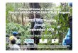 Kenya availability and sustainability of forest based ... · availability and sustainability of forest based medicinal plants ... Kenya September 2008 ... • Western Highlands chain