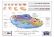 STUDY GUIDE - Liaquat National Hospital GUIDE-FOUNDATION-2016 … · BASIC HEALTH SCIENCES CLINICAL AND ... molecular level of cell biology including genetics and its role in embryology,