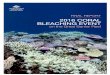 GBRMPA 2017. Final report: 2016 coral bleaching event …elibrary.gbrmpa.gov.au/.../1/Final-report-2016-coral-bleaching-GBR.pdf · Final report: 2016 coral bleaching event on the