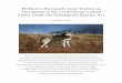 Petition to Reclassify Gray Wolves as Threatened in the ... · 1 as threatened throughout the conterminous United States. In 1978, wolves were reduced to just two populations in the