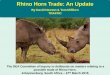 Rhino Horn Trade: An Update - Department of Environmental ... Horn Trade: An Update By David Newton & Tom Milliken TRAFFIC . Rhino horn trade: End use markets then.. The rhino horn