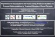 Payments for Ecosystem Services Using Product Bundles to ... · Payments for Ecosystem Services Using Product Bundles to. Prevent Deforestation in Tropical Montane Cloud Forests 