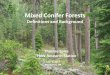 Mixed Conifer Forests - US Forest Service Definition of Moist Mixed Conifer Forests Diverse Forest Type where: 1. Grand fir, white fir, ... •Finding DMC, MMC and WMC requires triangulation