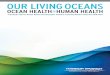 OCEAN HEALTH=HUMAN HEALTH · INTRODUCTION Florida Atlantic University’s Harbor Branch Oceanographic Institute (HBOI) has been a leader in advancing ocean and coastal science and
