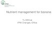 Nutrient management for banana - IPNI - Chinachina.ipni.net/ipniweb/region/china.nsf/0... · Best Nutrient management for Banana 1. Nutrient requirement - Total amount - Ratios of