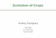 Evolution of Crops - Crop Wild Relatives is a crop? “Crops are ... Prospect •Genetic variability: bottleneck? •Use of tropical germplasm ... Improvement largely dependent upon