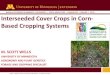 Interseeded Cover Crops in Corn-Based Cropping Systems · Interseeded Cover Crops in Corn-Based Cropping Systems ... Cover cropping to reduce nitrate loss through subsurface drainage