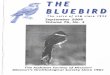 THE BLUEBIRD - mobirds.org · beckbugs@semo.net Pat Lueders*+, Treasurer (2010) 1147 Hawken Pl. ... Deadlines for submission of material for publication in The Bluebird