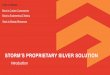 STORM’S PROPRIETARY SILVER SOLUTION · DISCOVER THE DIFFERENCE UNDER ONE ROOF STORM’S PROPRIETARY SILVER SOLUTION Introduction 1 Links to Website Back to Custom Components Back