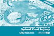 Spinal Cord Injury - WHOapps.who.int/iris/bitstream/10665/94192/1/WHO_NMH_VIP_13.03_eng.… · International Perspectives on Spinal Cord Injury Y WHO/NMH/VIP/13.03 “Spinal cord