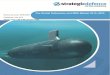 The Global Submarine and MRO Market 2015 2025 · The Global Submarine and MRO Market 2015–2025 Single Copy Price: $4,800 The Global Submarine and MRO ... The Global Military Fixed-Wing