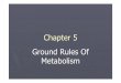 Chapter 5 Ground Rules Of Metabolism - Southwest …swc2.hccs.edu/kindle/chapter05.pdfDiffusion, Passive and Active Transport. ... Working With and Against Gradients ... endocytosis