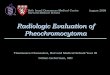 Radiologic Evaluation of Pheochromocytomaeradiology.bidmc.harvard.edu/LearningLab/genito/Chansakul.pdf · Radiologic Evaluation of Pheochromocytoma August 2009. Thanissara Chansakul,