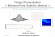 Project Presentation Element -Free Galerkin Method · Project Presentation « Element -Free Galerkin Method ... fracture mechanics ... of Linear Elastic Fracture Mechanics 