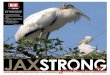 APRIL 2012 | Volume 4 Issue 2 · Among the many and varied articles in this quarter’s issue of JaxStrong is one about some of ... took off like gangbusters. Telegrams, letters,