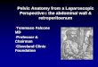 Pelvic Anatomy from a Laparoscopic Perspective:: the ... · Pelvic Anatomy from a Laparoscopic Perspective:: the abdominal wall & ... Pelvic Diaphragm ... fasciae pelvis or white