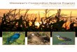 CP33 - Habitat Buffers for Upland Birdsfwrc.msstate.edu/pubs/cp33report.pdf · Mississippi’s Conservation Reserve Program CP33 - Habitat Buffers for Upland Birds 2006 Annual Report