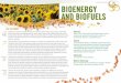 SUSTAINABILITY PATHWAYS BIOENERGY AND … PATHWAYS BIOENERGY AND BIOFUELS DID YOU KNOW? ENVIRONMENT ECONOMY SOCIAL GOVERNANCE Bioenergy accounted for roughly ten percent of the world