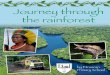 Journey through the rainforest - Lifeworlds Learning Rainforests2.pdf · the rainforest by Etruscan Primary School! ... around the middle of the earth through lots ... Deforestation