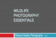 WILDLIFE PHOTOGRAPHY ESSENTIALS -   Wildlife? One of the most difficult areas of photography Wildlife are undependable – they move Safety concerns when approaching Tend to