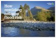 How rewilding reduces flood risk - Welcome - … rewilding reduces flood risk A natural approach to ... Who we are Rewilding Britain is a charity with a wild vision ... Why this report