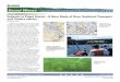 Eelgrass in Puget Sound—A New Study of Flow, … Sound Waves September 2004 U.S. Department of the Interior U.S. Geological Survey Fieldwork Eelgrass in Puget Sound—A New Study