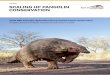 July 2014 SCALING UP PANGOLIN CONSERVATION€¦ · Scaling up pangolin conservation. IUCN SSC Pangolin Specialist Group Conservation Action Plan. Zoological Society of London, London,