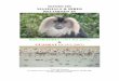 NOTES ON MAMMALS & BIRDS RECORDED IN - … ON MAMMALS & BIRDS RECORDED IN ... Lion-tailed Macaque was the overall star and the observation of ... Robin, Black-and-Orange 