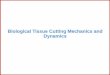 1. Biological Tissue Cutting Mechanics and Dynamicsorbilu.uni.lu/bitstream/10993/20921/1/ResearchMalukhin5_2.pdf · • Develop tissue cutting mechanics theoretical foundation to