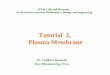 Tutorial 02 Plasma Membrane - UCLAhelper.ipam.ucla.edu/publications/cmtut/cmtut_6302.pdf · Glycolipid Cholesterol Proteins; transmembrane proteins, peripheral proteins ... Microsoft