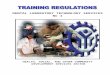 TRAINING REGULATIONS FOR - Technical Education … Dental Laboratory... · Web viewEast Service Road, South Superhighway, Taguig, Metro Manila Technical Education and Skills Development