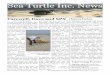 Sea Turtle Inc. News · Sea Turtle Inc. News Farewell, Dave and SPX News bytes . ( ) ... BC8E4G8 4A7 ??