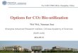 Options for CO2 Bio-utilization - iea.org · For ICBT WBS 2014, Changsha, China . ... soil refinery, 
