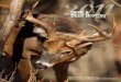 2011 - Ningapi.ning.com/.../DH2011MediaKit.pdf · Deer & Deer Hunting Magazine • 2011 Media Kit ... A ratio of a publication's readership to its ... 1,615 nd color 1/2 page or morel