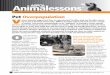 Animalessons - ASPCAproaspcapro.org/sites/pro/files/Animalessons_ Pet_Overpopulation.pdf1 ASPCA Animalessons ... Pet Overpopulation? S ® ® F ® ® 
