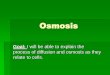 Osmosis and Turgor Pressure - Mr. Fougere's Webpage · Osmosis Goal: I will be able to explain the process of diffusion and osmosis as they relate to cells. Imagine ... As the celery