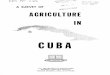 A SURVEY OF AGRICULTURE - Cornell Universityusda.mannlib.cornell.edu/usda/ers/ERSF//1960s/1969/ERSF-06-10-1969...A SURVEY OF AGRICULTURE IN CUBA ... Cienaga de Zapata in southwestern