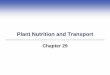 Plant Nutrition and Transport - Del Mar Collegedmc122011.delmar.edu/nsci/biology/faculty/brower/powerLectures/ch...Plant Nutrition and Transport Chapter 29. Impacts, Issues Leafy Cleanup
