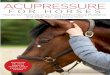 HELP YOUR HORSE WITH SIMPLE ACUPRESSURE …€¦ · Accupressure Points—Areas of Application 123 Sources of Error 128 Acupressure Points – Description and Effects 132 Lung 7 (LU